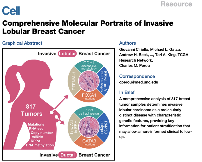 Important ILC Research: “Comprehensive molecular portraits of invasive lobular breast cancer”