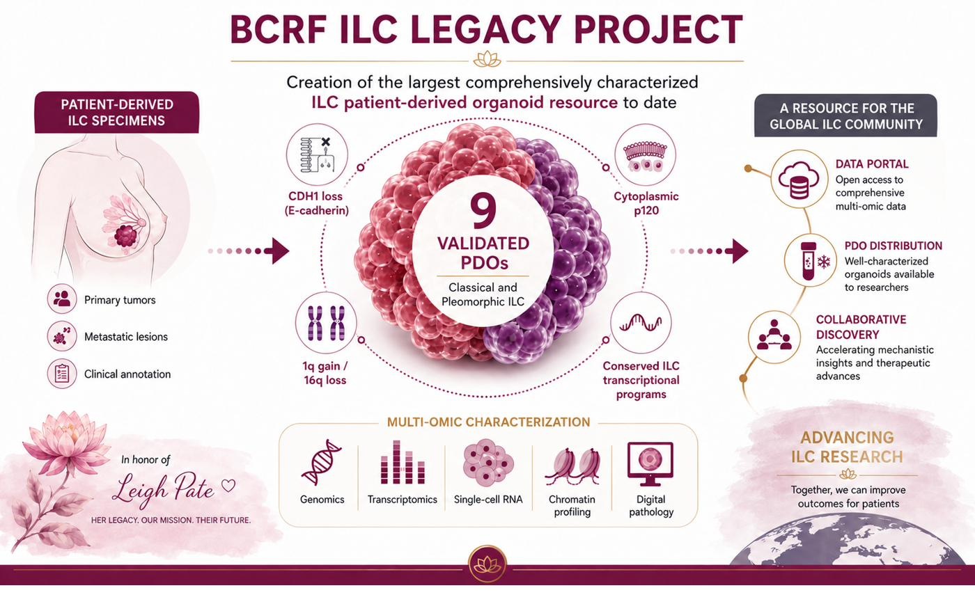 BCRF ILC Legacy Project overview: nine validated ILC PDOs characterized across six molecular modalities, in honor of Leigh Pate.