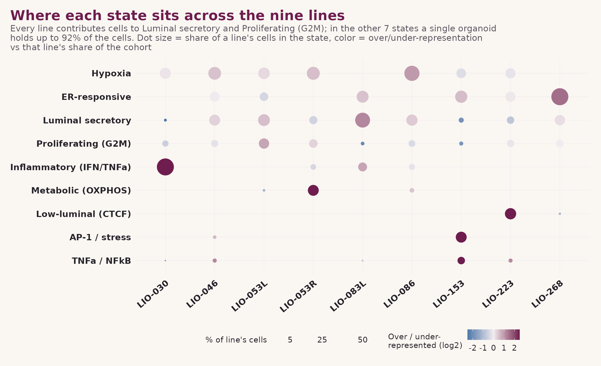 Dot plot showing where each cell state sits across the nine organoid lines.