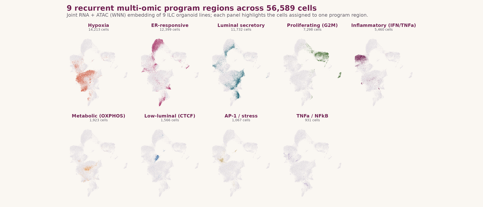 Individual state distributions across the multi-omic embedding, one panel per state.