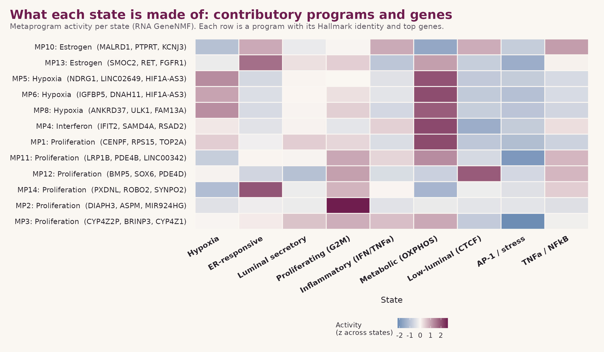 What each state is made of: metaprogram activity heatmap across the nine cell states.